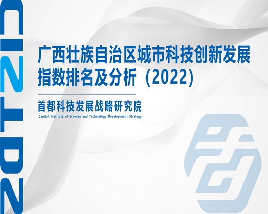 肏老熟女【成果发布】广西壮族自治区城市科技创新发展指数排名及分析（2022）